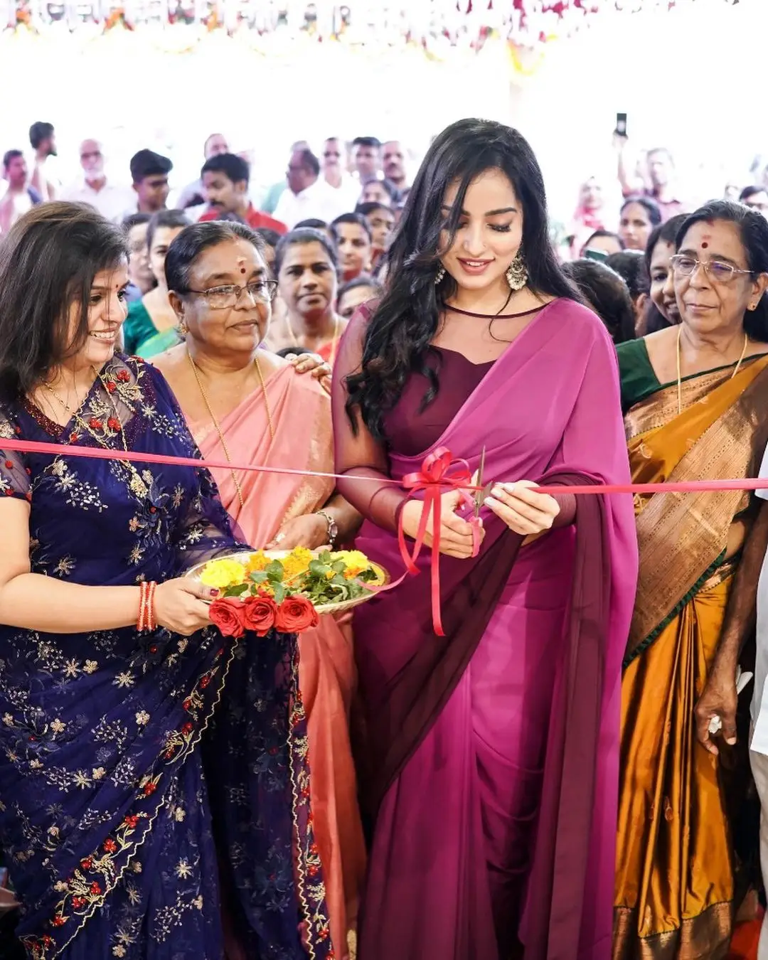 Malavika Menon In South Indian Traditional Pink Saree Maroon Blouse